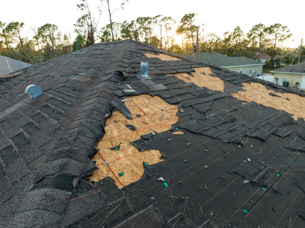 Trusted Auburn, AL Roofing Services Experts